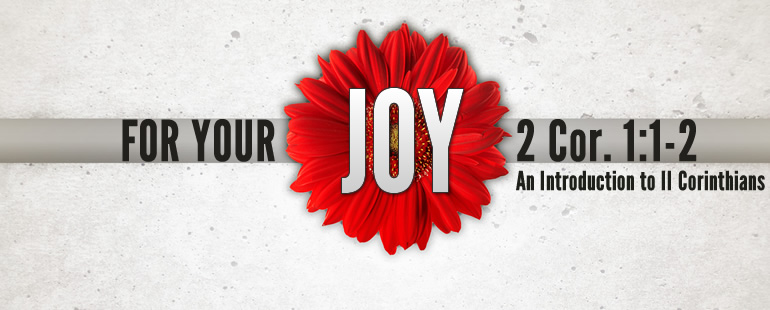 For Your Joy