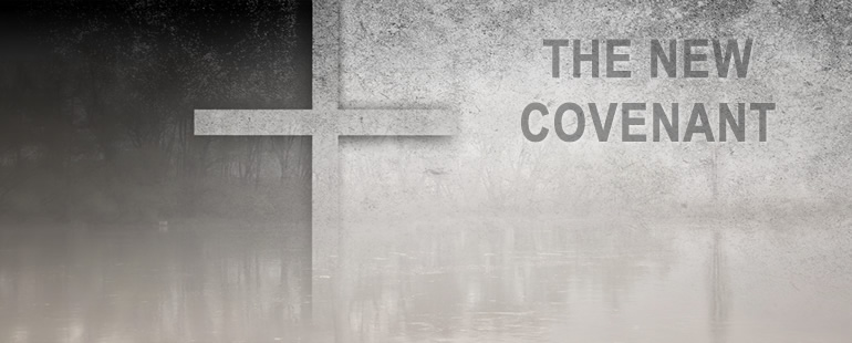 The Indelible Work of the Spirit in the New Covenant